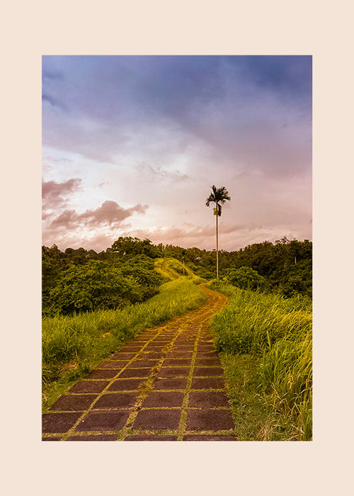 Bali - Campuhan Ridge Walk -valokuvajuliste vehreällä kivipolulla Ubudissa, Balilla.